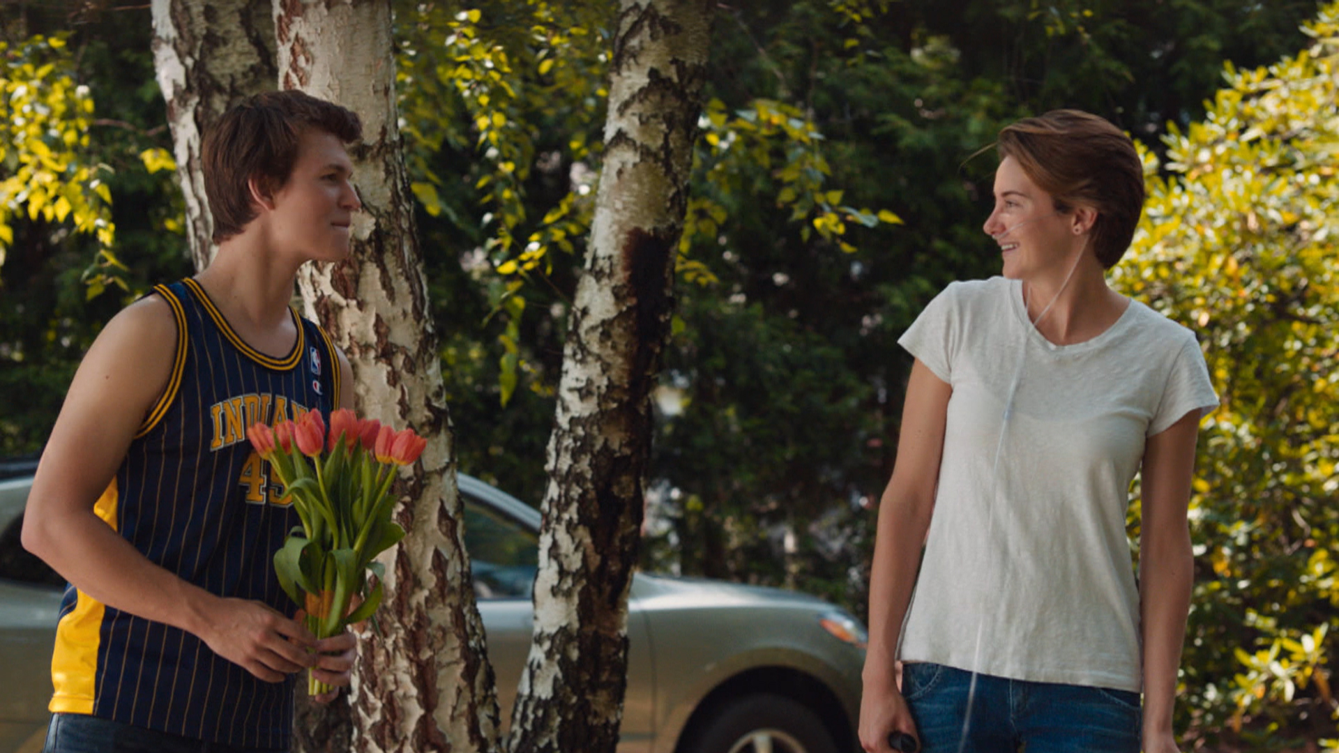 THEATRICAL REVIEW: The Fault in Our Stars | The Viewer's Commentary1920 x 1080